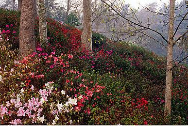 能玩了？开发者暗示女儿很喜欢玩《战神：诸神黄昏》
